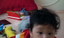 油麻豆,探寻古老豆类的现代魅力